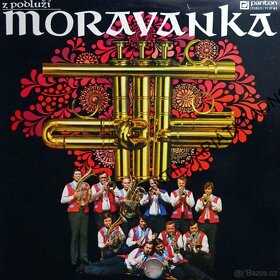 LP a SP Moravanka,Mistříňanka,V:Špinarová,J.Suchý,Kamelie - 2