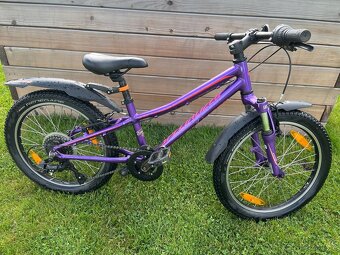 Specialized hot rock - 2