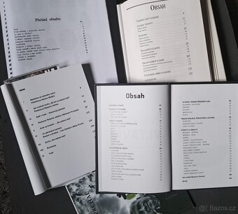 Lirteratura o Vltavínech - 2