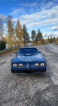 Pontiac Firebird 5.0 V8 1981 - 2