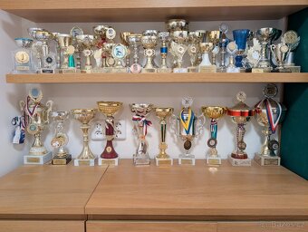 Sportovní poháry (kynologie) - 2