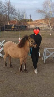 Kobylka Pony - 2