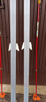 Běžecké lyže se šupinami - 2