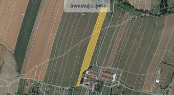 Prodej pole v k.ú. Melč - 2