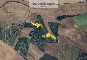 Prodej pole v k.ú. Svatobořice - 2