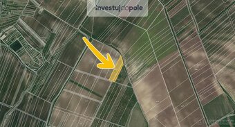 Prodej podílu 1/6 pole 2 413 m², Hustopeče - 2
