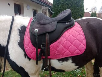 Bezkostrové sedlo - 2