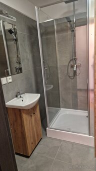 Pronájem bytu 2+kk po kompletní rekonstrukci. - 2