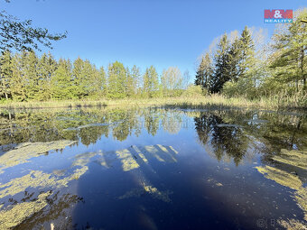 Prodej vodní plochy, 5965 m², Rychnov nad Kněžnou - 2