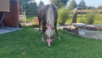 Mini hors - 2