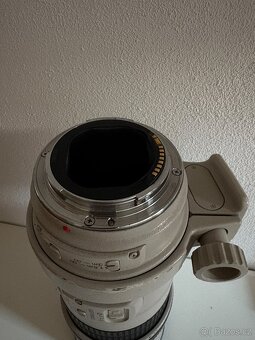 CANON EF 300 mm f/4 L IS USM - 2
