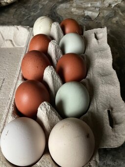 Domácí vajíčka - 2