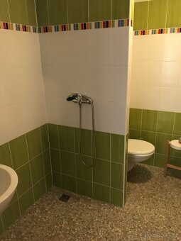 Družstevní byt 1+1 nájem - 2