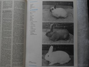 CHOVATEL 1988 - 2