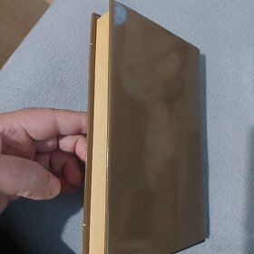 Perský chlapec - 2
