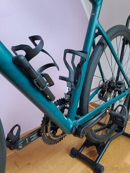 SPECIALIZED ALLEZ E5 DISC SPORT SATIN TROPICAL 2023 56 - 2