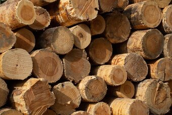 Palivové dřevo akce sypané - 2