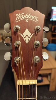 Washburn - 2