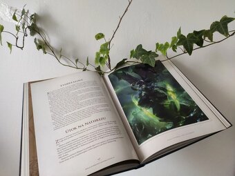 Kniha - encyklopedii World of WarCraft kronika 3 Blizzard CZ - 2