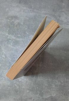 Zůstat nebo jít - Luule Viilma - 2