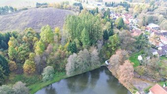 Prodej lesa, 986 m², Strmilov - 2