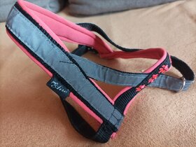 Neoprenové vodítko a postroj pro psa Airi - 2