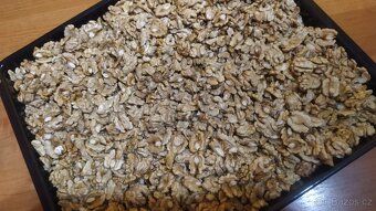 Vlašské ořechy loupané - 2