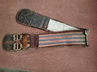 Podbřišník australský - 2