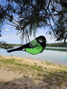 Sluneční Ptáček - 2