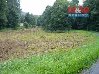 Prodej louky, 345 m², Malá Morava - 2