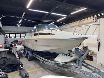 Rio 650 Cruiser - 2