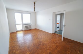 Pronájem bytu 1+1 42 m² Nivy I - 2