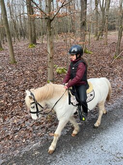 Líbivá pony klisna - 2