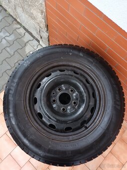 Zimni sada 5 x127 - 2