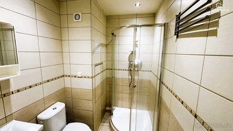 Pronájem bytu 1+kk 20 m², Plzeň - Doudlevce, ev.č. 00097 - 2