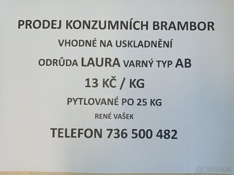 Brambory na uskladnění - 2