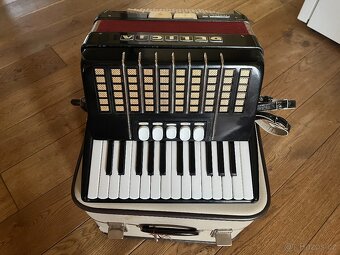 Delicia Junor III, 72 basů - 2