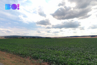 Prodej pole, 24 109 m², Náměšť na Hané - 2