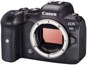 Canon EOS R6 - 2