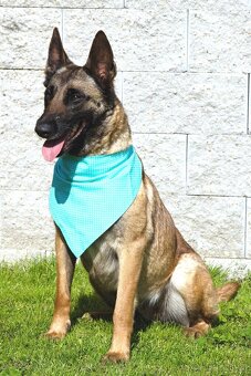 Malinoiska Naomi hledá domov - 2