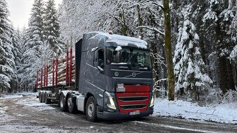 ŘIDIČ/KA C+E PŘEPRAVA DŘEVA - 2