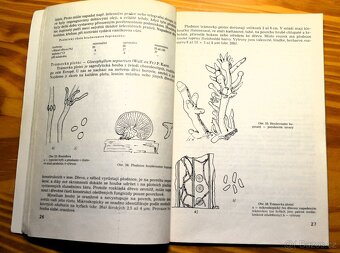 Knihy o ochraně dřeva - 2