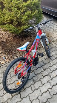 Dětské kolo Superior Paint 24 TOP - 2