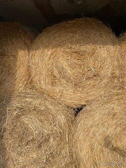 Sláma kulaté balíky - 2