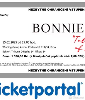 Bonnie Tyler Brno 14.6.2025 - 2