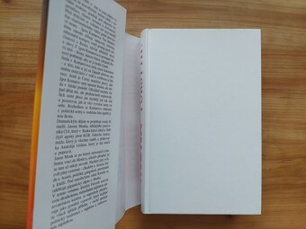 Frederick Forsyth - Ikona, akční krimi drama thriller SLEVA - 2