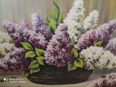 Obrazy - František Líva, Miloslav Lesný Lederer - 2