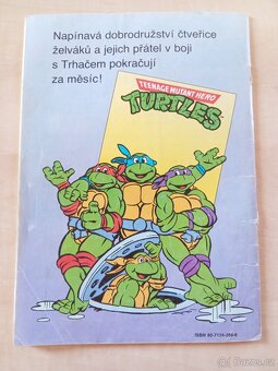 Teenage mutant hero Turtles - 2