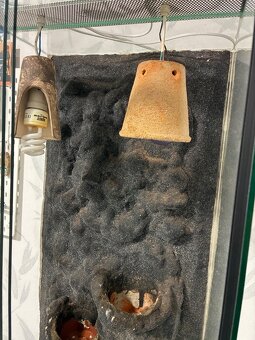 Terárium pro chameleona - 2