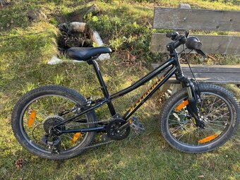 Dětské kolo Specialized Hotrock 20 - 2